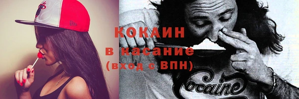 ешки Михайлов