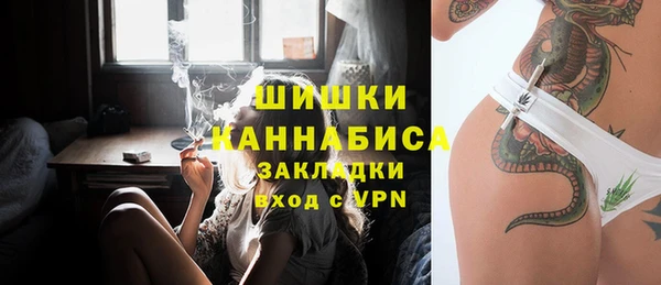 индика Михайловск
