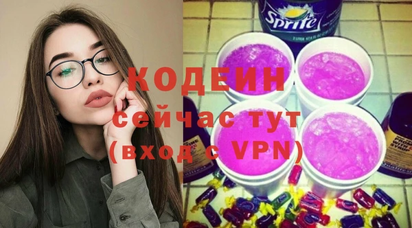 индика Михайловск