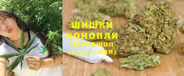 индика Михайловск