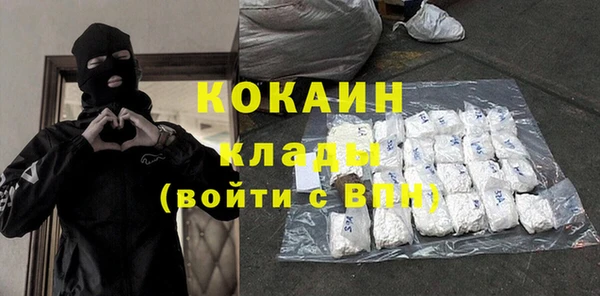 индика Михайловск