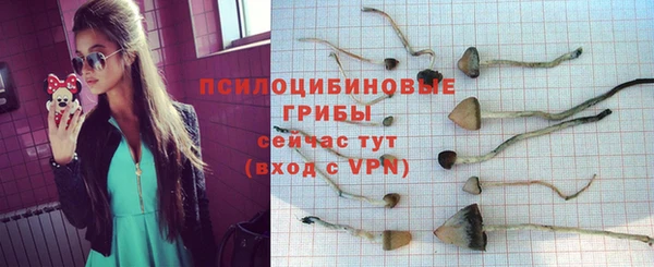 индика Михайловск