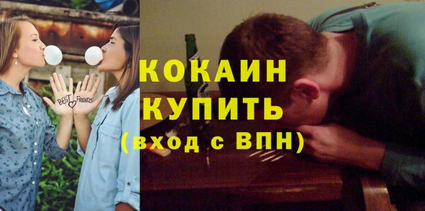 индика Михайловск