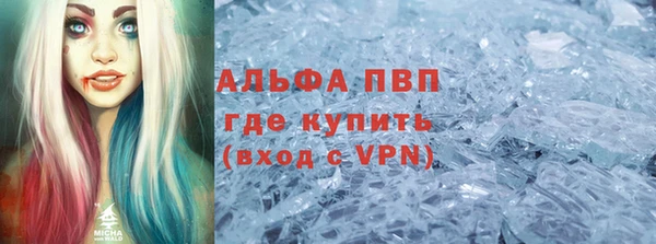 индика Михайловск