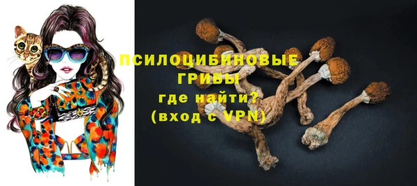 индика Михайловск