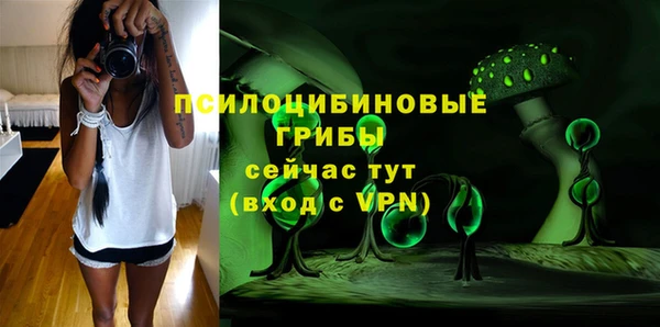 индика Михайловск