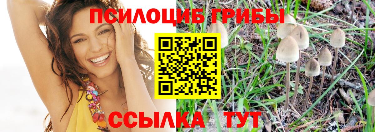 Галлюциногенные грибы Cubensis  Вход с VPN  как найти наркотики  Благовещенск 